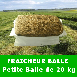 fraicheur_balle